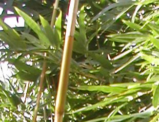 image1 (2K)